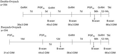 Effect of Double-Ovsynch and Presynch-Ovsynch on postpartum <mark class="highlighted">ovarian cysts</mark> and inactive ovary in high-yielding dairy cows